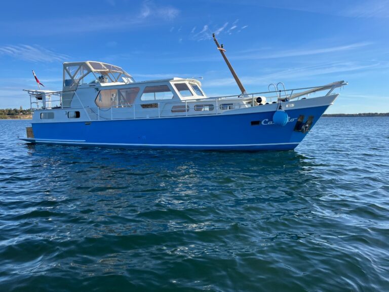 Grand Star De Ruiter for sale