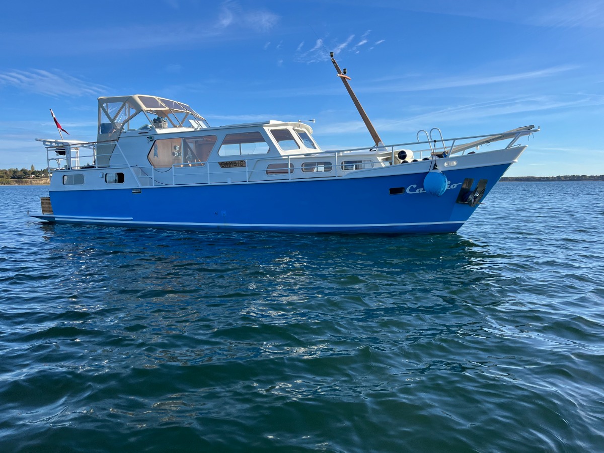 Grand Star De Ruiter for sale